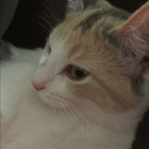 Meet your Posher, Doris